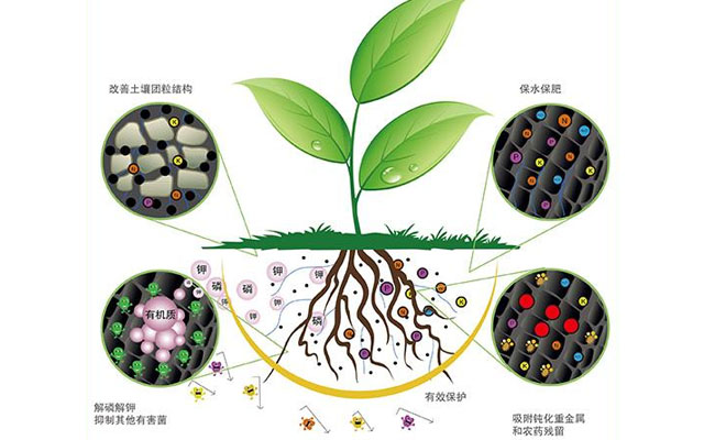 生物肥料与生态环境改善的关系