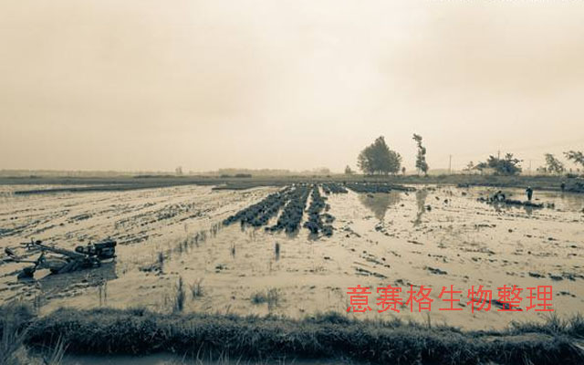 生物肥料在肥料史上的发展