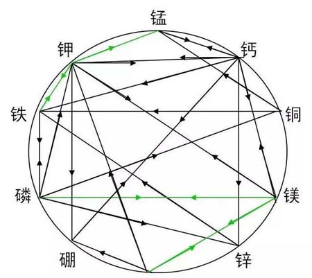 肥料之间的相生相克